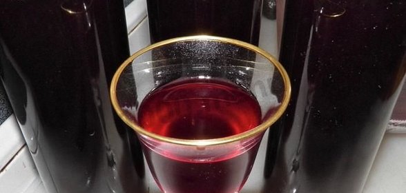 Домашнее клюквенное вино