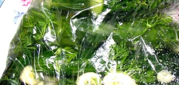 Малосольные огурцы в пакете в собственном соку