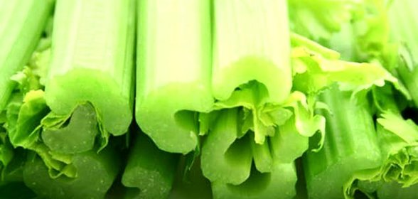 Салат «Сельдерей»