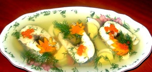 Заливная щука