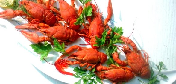 Раки варёные