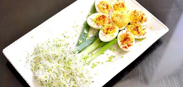 Цветочки из яиц