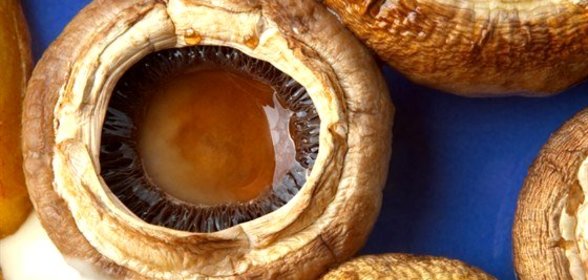 Печеные грибы