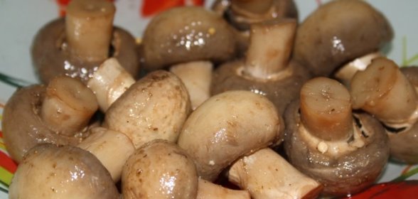 Маринованные шампиньоны (быстрый рецепт)