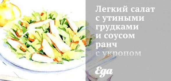 Легкий салат с утиными грудками и соусом ранч с укропом