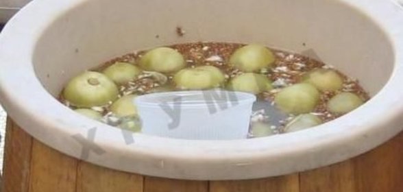 Бочковые зеленые помидоры с огурцами