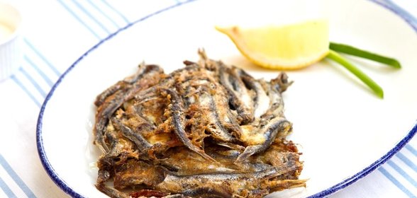 Битки из тюльки