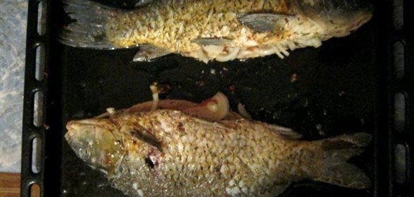 Карп в духовке