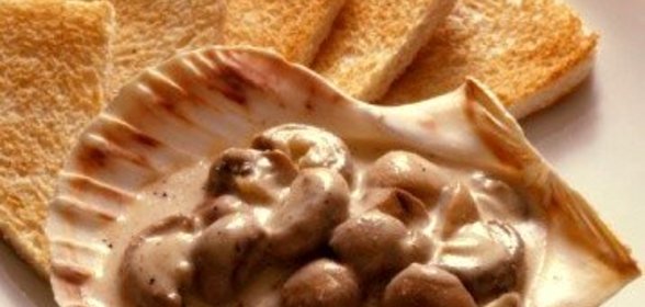 Тосты с грибами и сливочно-чесночным соусом