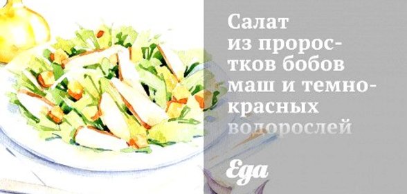 Салат из проростков бобов маш и темно-красных водорослей