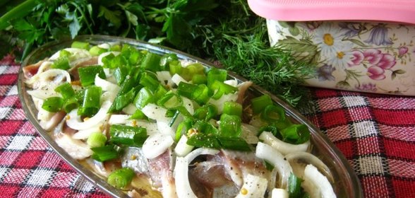 Сельдь с луком в горчичной заливке