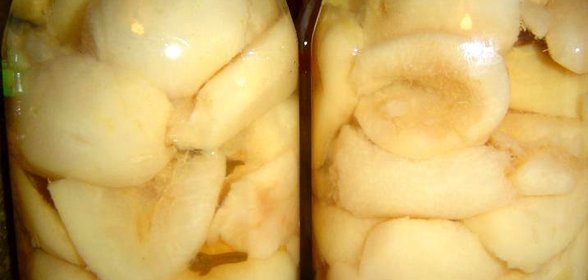 Моченые груши